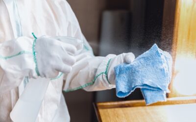 El arte de la desinfección: Cómo mantener tu hogar libre de gérmenes