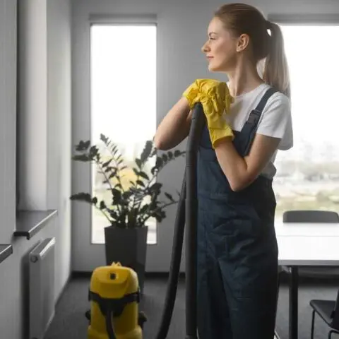Mujer limpiando el interior de la casa, Empresa de limpieza