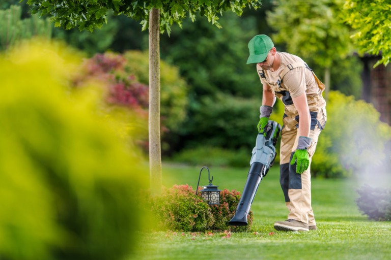 Mantenimiento y Limpieza de Jardines y Exteriores