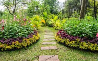 Mantenimiento y Limpieza de Jardines y Exteriores: Consejos para Zonas al Aire Libre