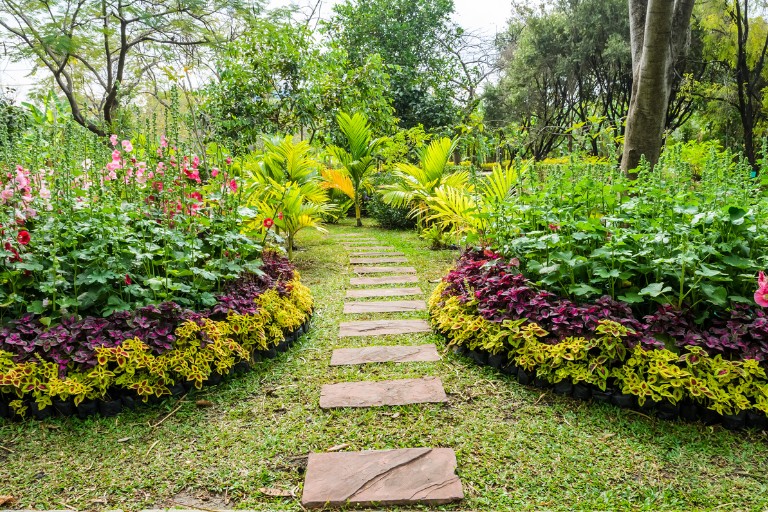 Mantenimiento y Limpieza de Jardines y Exteriores