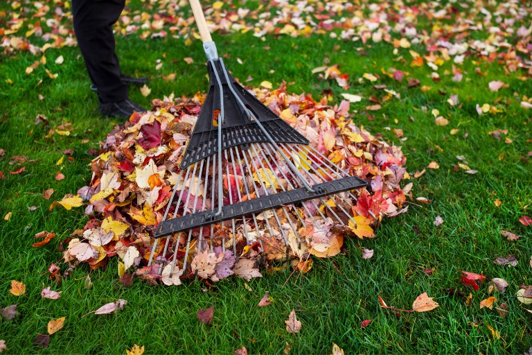 Mantenimiento y Limpieza de Jardines y Exteriores