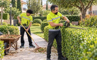 ¿Qué mantenimiento necesita un jardín? Cómo saber qué hacer y con qué frecuencia